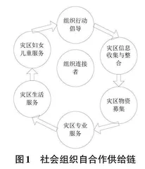 基于TF-IDF与LSA模型的社会救援组织主题分析