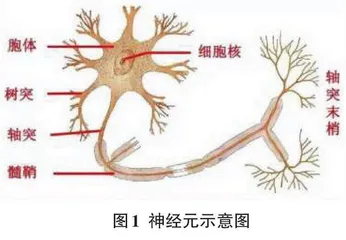 神经网络中梯度消失的解决办法