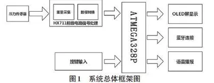 基于电阻应变片的智能电子秤的设计0