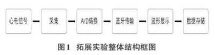 基于人体心电信号采集的创新实训课设计与实践研究0