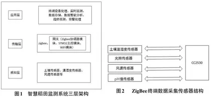 基于AIoT的智慧稻田监测系统研究0