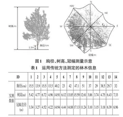 空地协同多源点云数据的林木信息提取精度分析