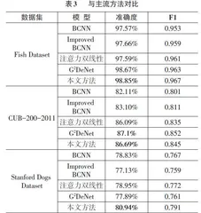 基于改进双线性的细粒度图像分类方法0