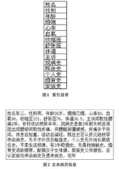 基于索引目录的病历信息文本挖掘算法0