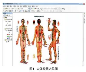 二三维一体化的人体经络查询系统开发与实现0