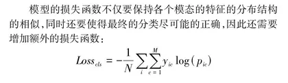 多模态医疗图像分类