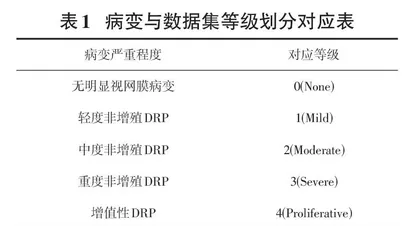 基于深度学习的糖尿病性视网膜病变的分级0