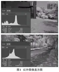 基于红外与可见光图像融合的无人机探测研究0