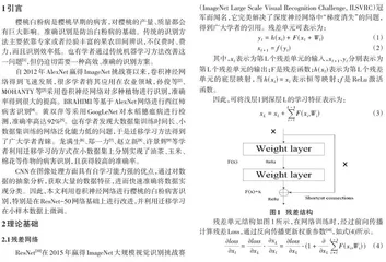 基于迁移学习ResNet网络的樱桃叶片白粉病的图像识别