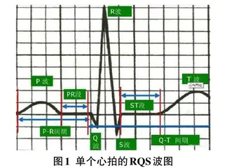 基于SE-CNN-LSTM的心电识别算法