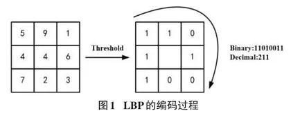 基于关键面纹理特征提取的自动人脸微表情识别0