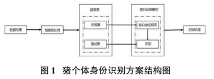 基于卷积神经网络的生猪个体身份识别系统设计