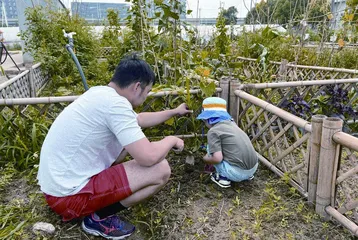 拥有一片菜地的快乐，谁懂1