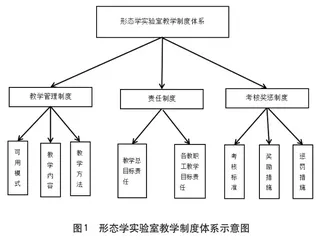 高等医学院校实验室教学模式改革思路探索1