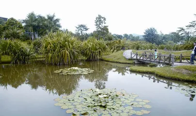 冬游西双版纳，开启一段温暖时光