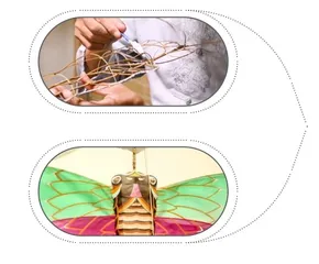 扎糊绘放藏匠心1