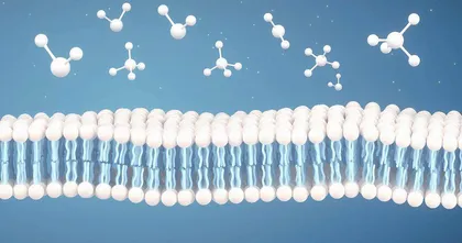 迄今最精确宇宙虚拟形象被揭示5