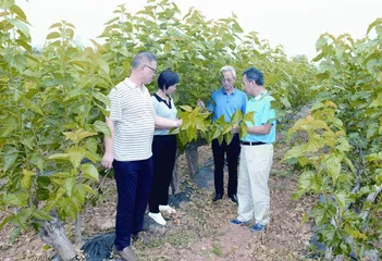 山西省蚕学会：从“破茧而出”到“羽化成蝶”0