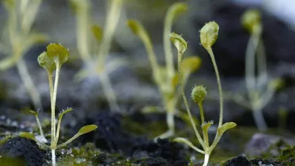 “祝融号”在火星原位探测到含水矿物2