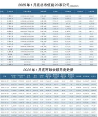 1月总市值前20家公司