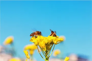 如何安全地补充雌激素1