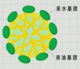 油水冤家，相逢一笑——迷人的“双亲分子”1