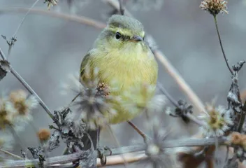 也许我们需要少许“荒芜”8