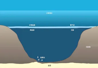 海底盐池7