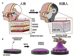 下一代机器人会更像真人1