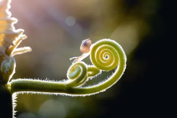 数学家遇上美学家