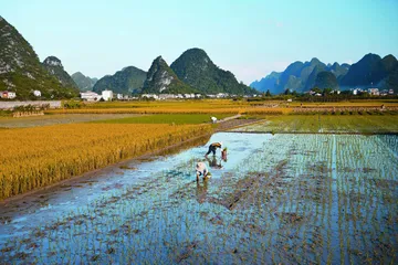 万物在天地间摇滚