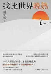 对面的小说家：纽约访谈录3