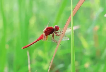 就在我身边3