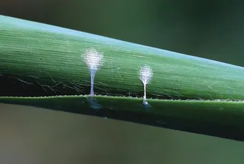 万物皆有欢喜处