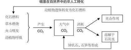 现代诗：内形式的“装置”与“传输”