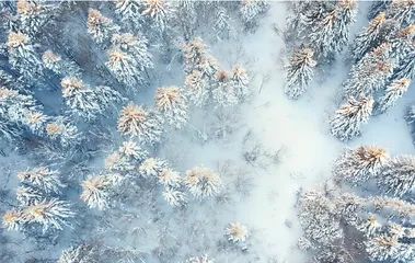 雪与险！悬崖与浮冰！！