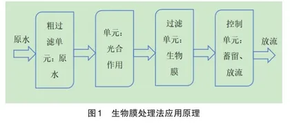 生物修复技术在水环境治理中的应用与发展0