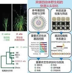 盘点：2021年中国科技重大突破0