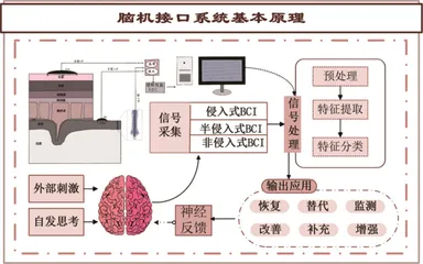 超越想象的力量：脑机接口创造未来2