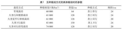 玉米栽培管理技术对玉米产量及品质的影响0