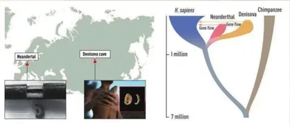 全新的古基因组学告诉我们人类为什么如此独特？1