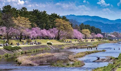 在京都，遇见一条名叫鸭川的“理想河”0