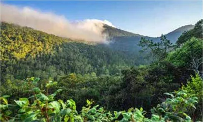 池塘山庄：超现实主义的梦境1