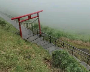 在伊豆高原的山海之间感受时光流转8