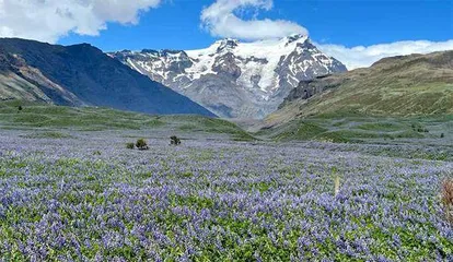 极昼时节在冰岛环岛露营3