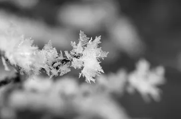 飘过雪花的记忆0