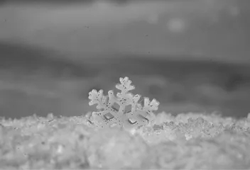 雪 如约而至