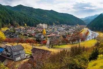 拯救“里山”在行动