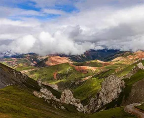 一场青海追兽之旅0