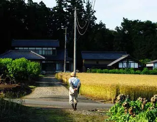 拯救“里山”在行动5